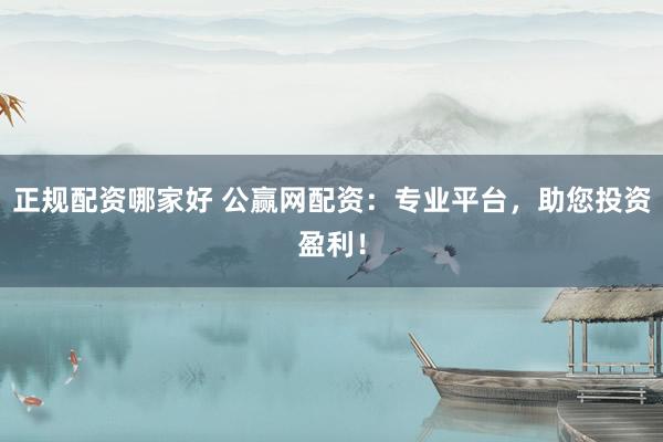 正规配资哪家好 公赢网配资：专业平台，助您投资盈利！