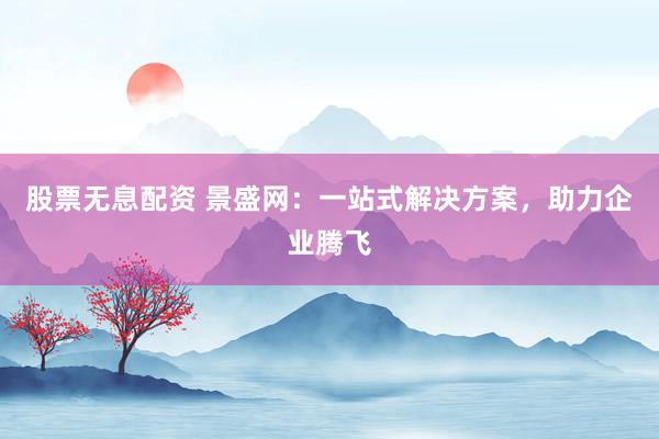 股票无息配资 景盛网：一站式解决方案，助力企业腾飞