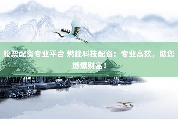 股票配资专业平台 燃峰科技配资：专业高效，助您燃爆财富！