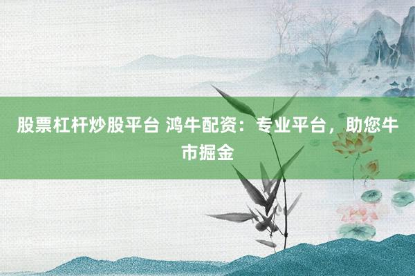 股票杠杆炒股平台 鸿牛配资：专业平台，助您牛市掘金
