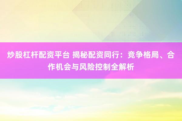 炒股杠杆配资平台 揭秘配资同行：竞争格局、合作机会与风险控制全解析