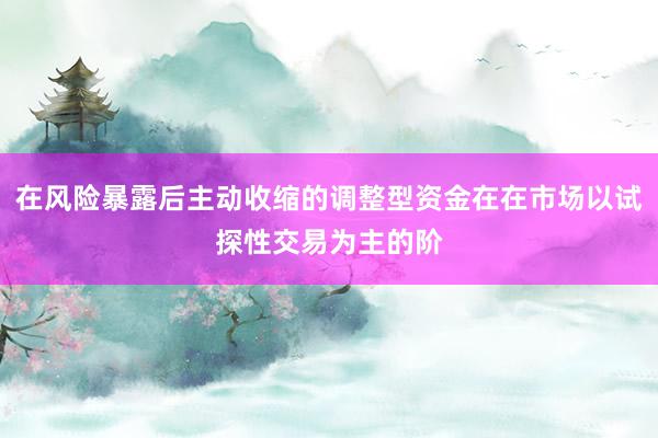 在风险暴露后主动收缩的调整型资金在在市场以试探性交易为主的阶
