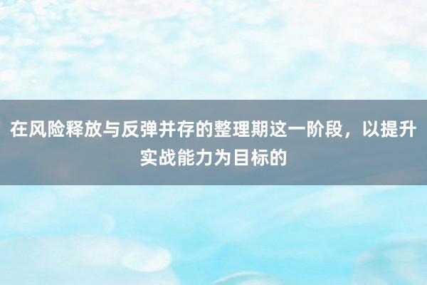 在风险释放与反弹并存的整理期这一阶段,以提升实战能力为目标的