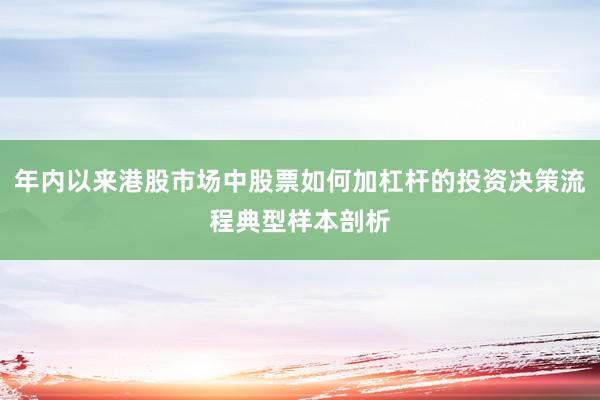 年内以来港股市场中股票如何加杠杆的投资决策流程典型样本剖析