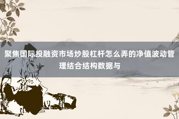 聚焦国际投融资市场炒股杠杆怎么弄的净值波动管理结合结构数据与