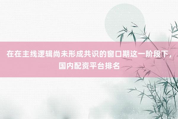 在在主线逻辑尚未形成共识的窗口期这一阶段下，国内配资平台排名