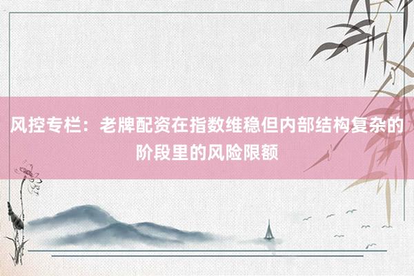 风控专栏：老牌配资在指数维稳但内部结构复杂的阶段里的风险限额