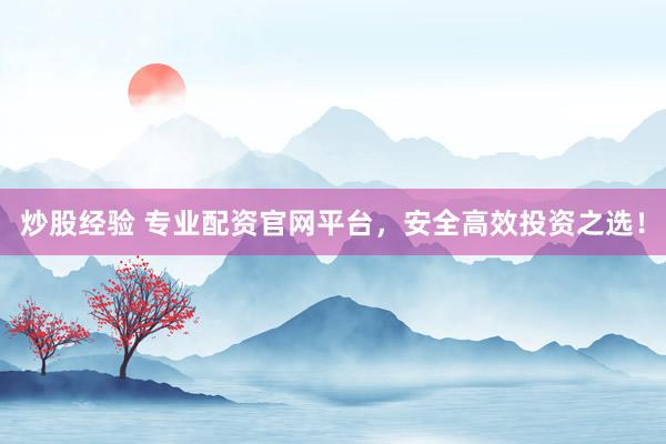 炒股经验 专业配资官网平台，安全高效投资之选！