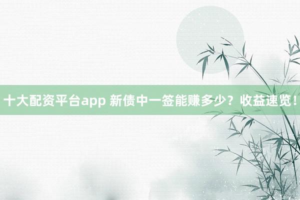 十大配资平台app 新债中一签能赚多少?收益速览!